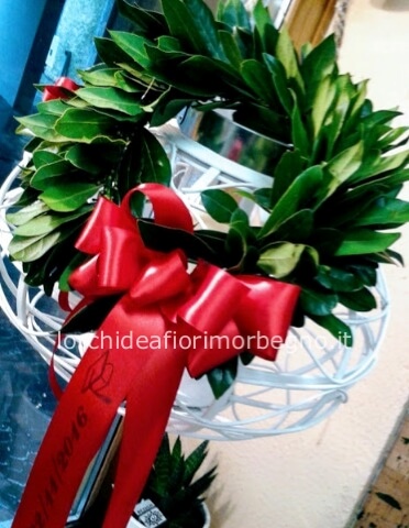 Coroncina di alloro per laurea