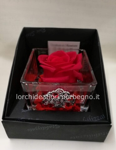 Rosa stabilizzata cubo in vetro cm 6x6