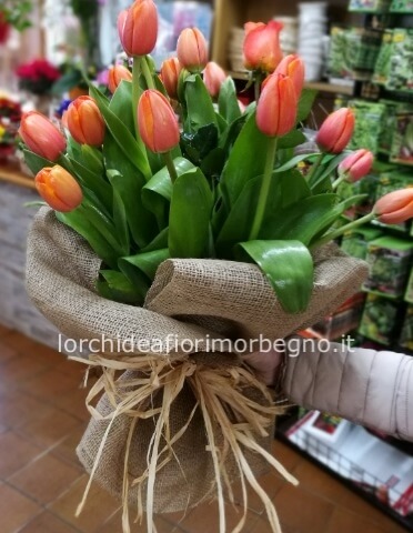 TULIPANI