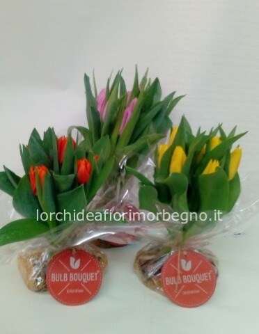 Bouquet di tulipani con bulbo
