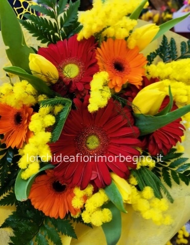 Bouquet gerbere tulipani e mimosa