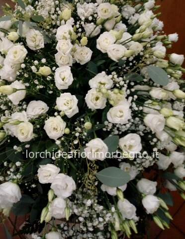 Cuscinetto lisantus gipsophila e verdi