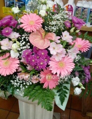 Ciotola fiori misti con anturium