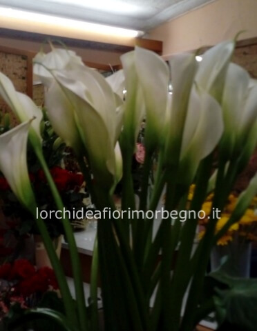 Mazzo 7 calle e verde vari