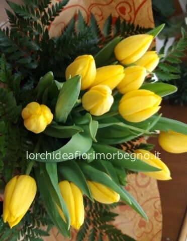 Bouquet tulipani gialli