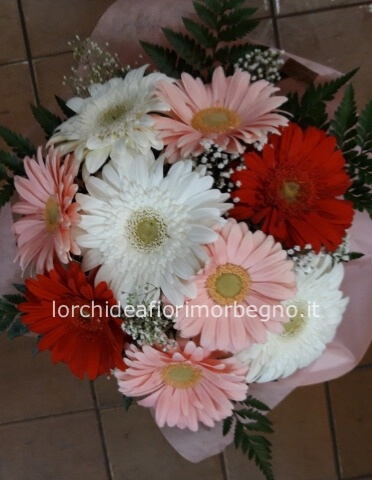 Bouquet gerbere colori misti gipsophila e verdi