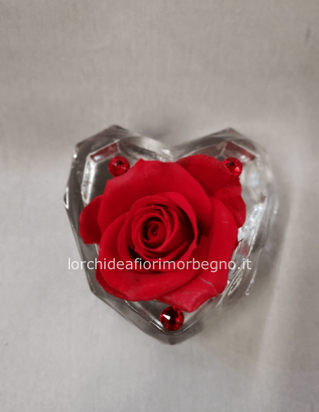 cuore con Rosa stabilizzata