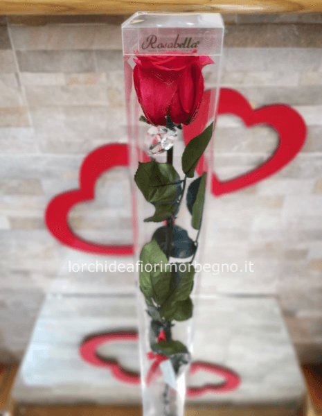 Rosa stabilizzata con ciondolo Swarovski 