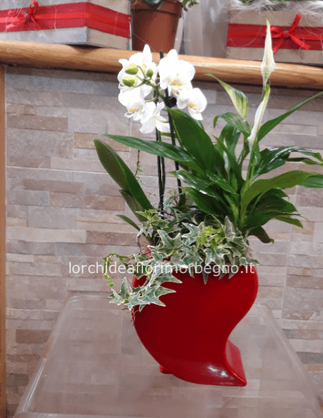 Composizione cuore
