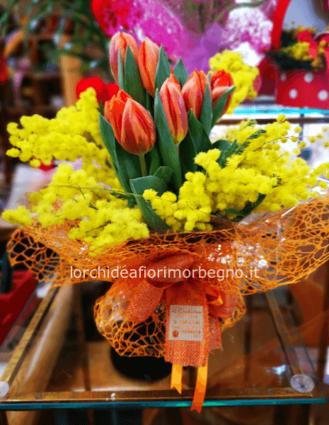 Bulbouquet special edition