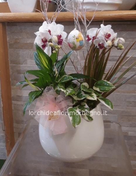 Ceramica con orchidea piante miste e decorazione pasquali