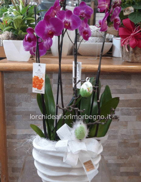 Composizione orchidee in ceramica con addobbi pasquali