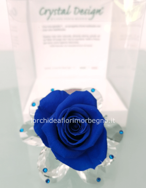 Rosa stabilizzata piccola 