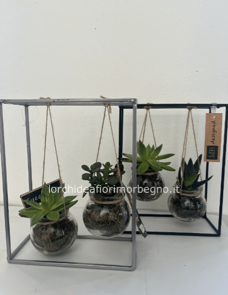 Composizione di cactus appesi piccola