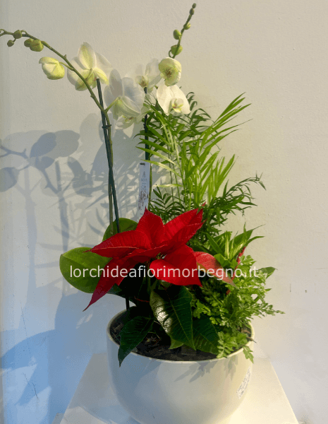 Composizione natalizia 