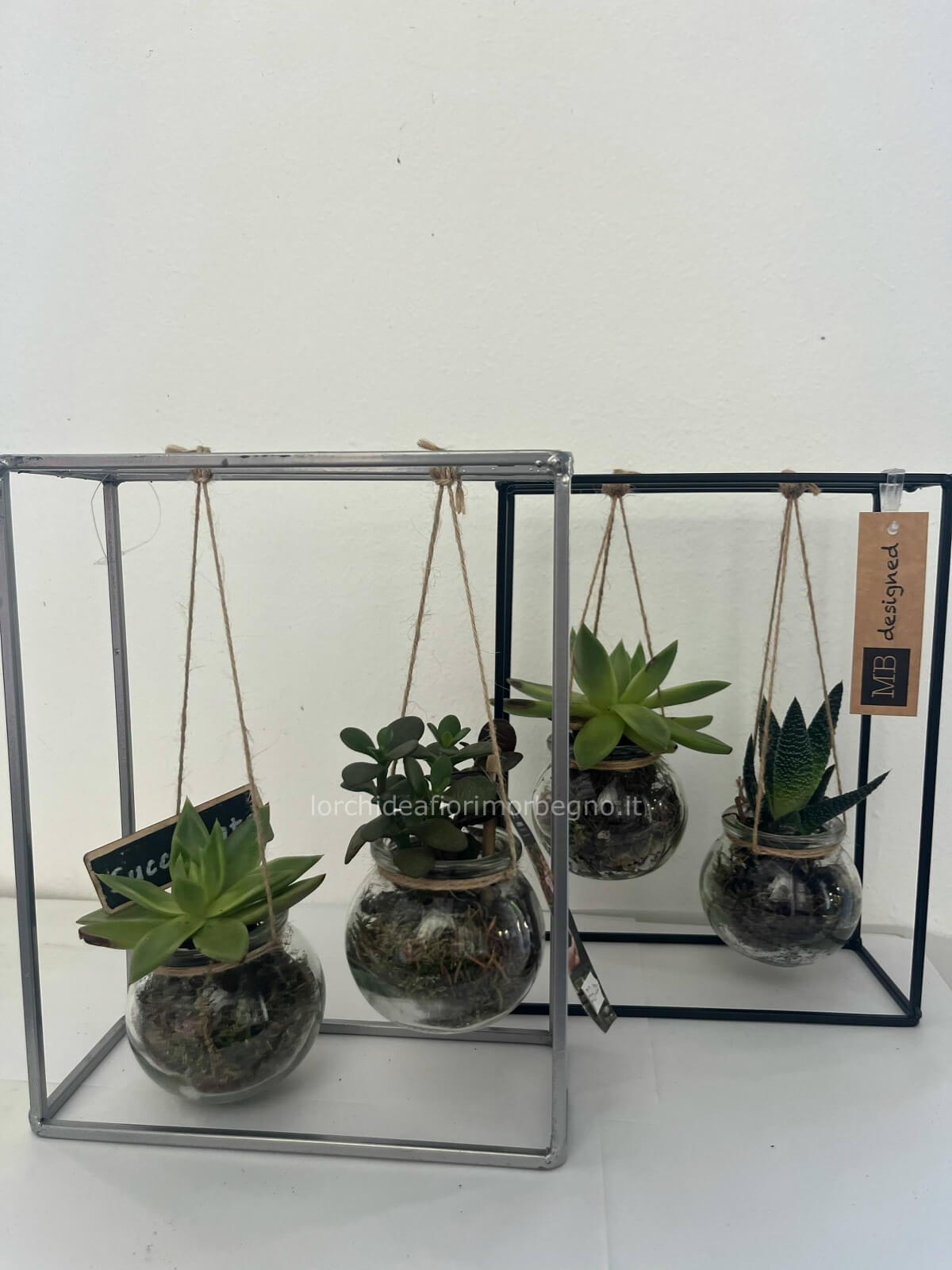 Muuoeou Set di 6 Sottobicchieri A Forma di Cactus Fai da Te con Portavaso per Bevande, Regalo per L'Arredamento del Bar 'Ufficio in Casa Muuoeou Set di 6 Sottobicchieri A Forma di Cactus Fai da Te con Portavaso per Bevande, Regalo per L'Arredamento del Bar 'Ufficio in Casa